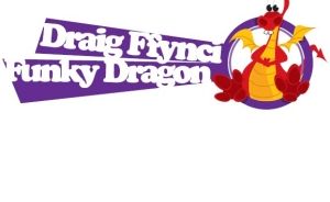 Funky Dragon Survey