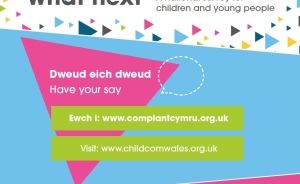 Children’s Commissioner for Wales National Survey / Arolwg Cenedlaethol Comisiynydd Plant Cymru