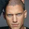 Wentworth Miller