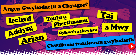 Gwybodaeth